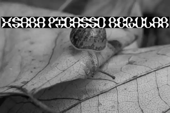 XSARA PICASSO Regular Font examples