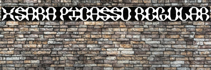 XSARA PICASSO Regular Example 2