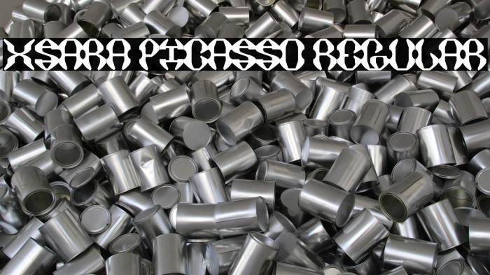 XSARA PICASSO Regular Example 3