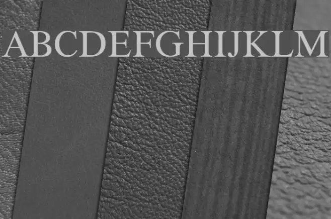 XSerif Unicode Font examples