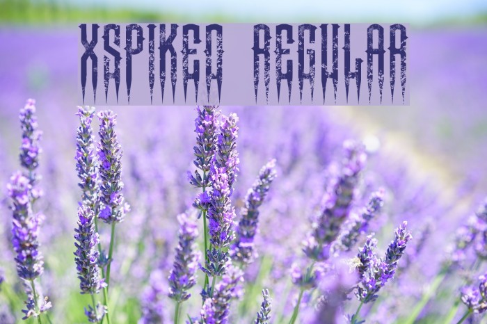 XSpiked Regular Font examples