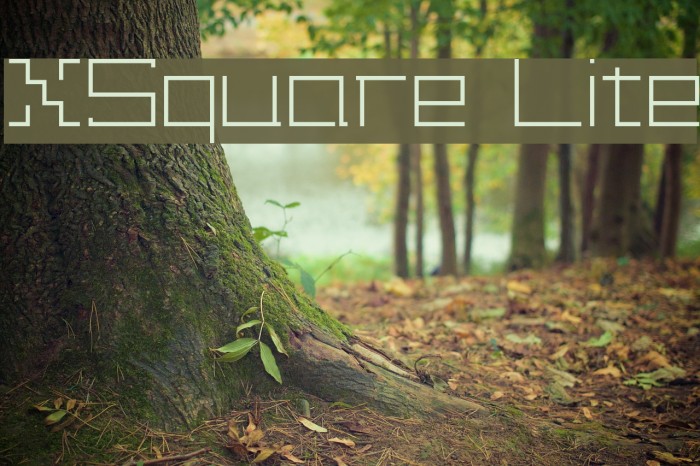 XSquare Lite Font examples