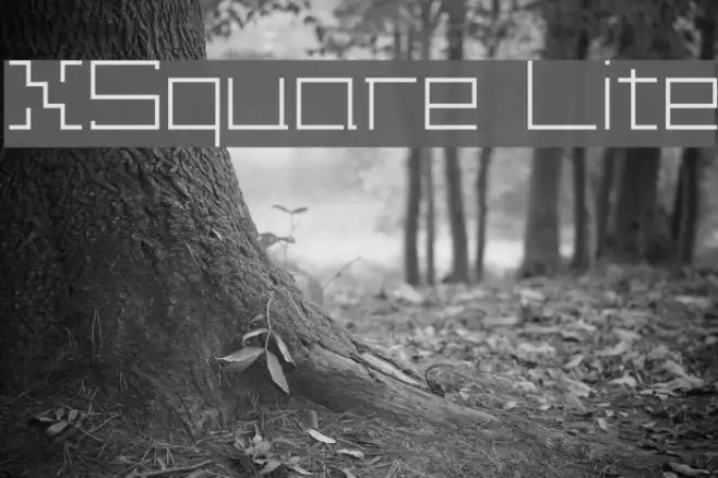 XSquare Lite Example 2
