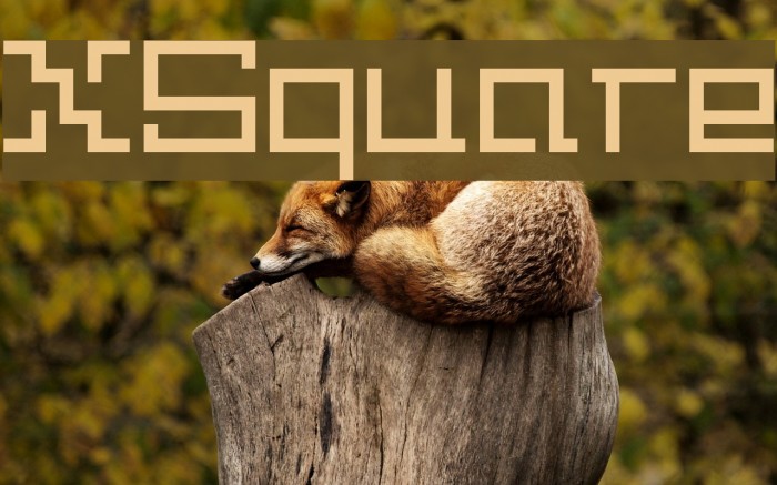 XSquare Font examples