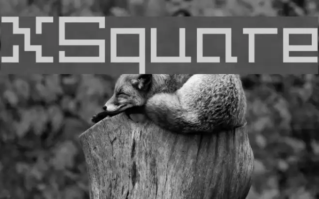 XSquare Example 3