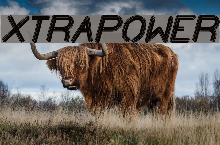 XTRAPOWER Font examples