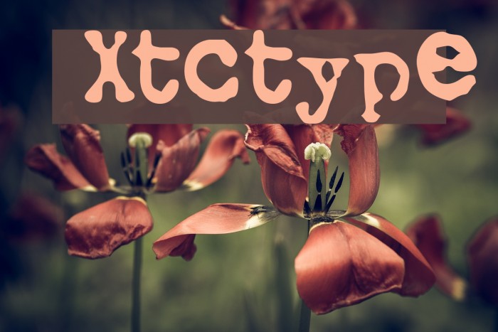 Xtctype Font examples