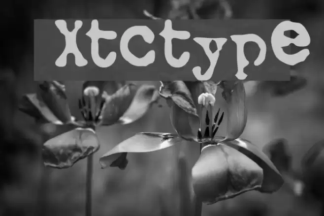 Xtctype Font examples