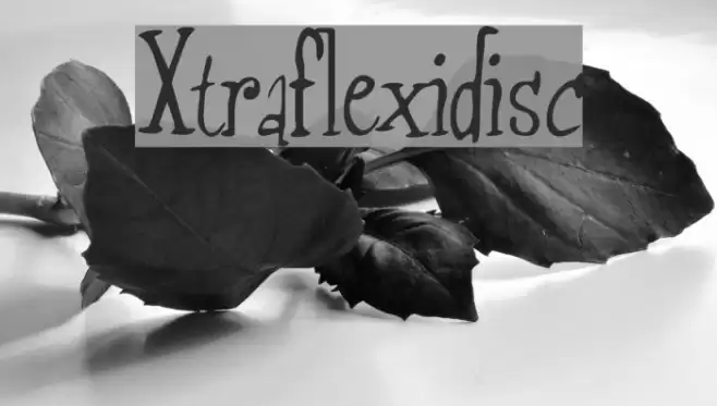 Xtraflexidisc Font examples