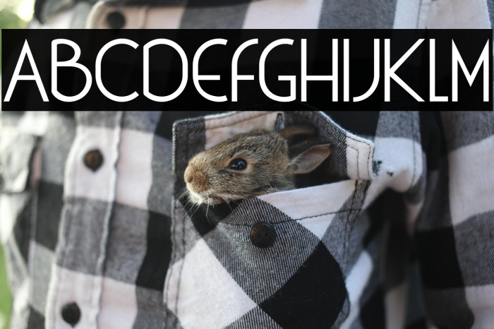 Xtravagant Example 2