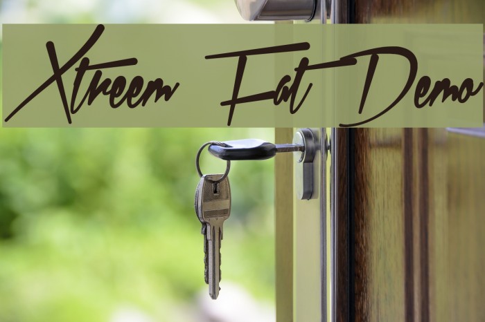 Xtreem Fat Demo Font examples