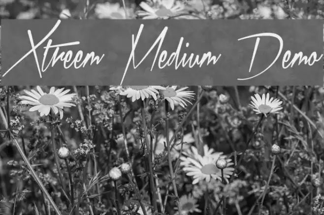 Xtreem Medium Demo フォント examples
