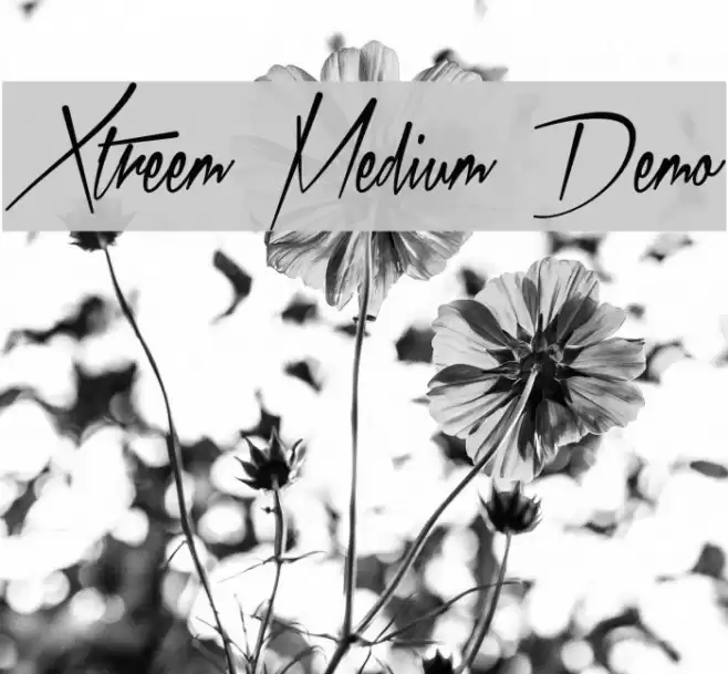 Xtreem Medium Demo フォント examples