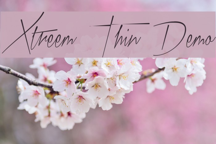 Xtreem Thin Demo Font examples