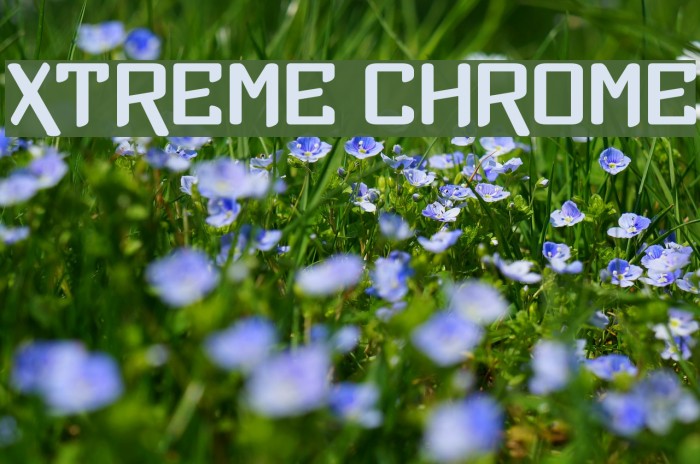 Xtreme Chrome Polices examples