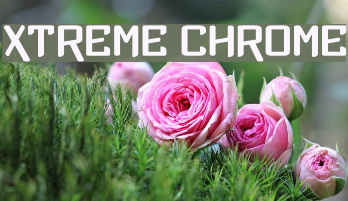Xtreme Chrome Polices examples