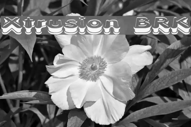 Xtrusion BRK Font examples