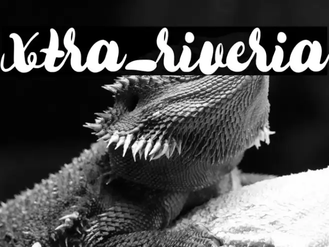 xtra_riveria Example 3
