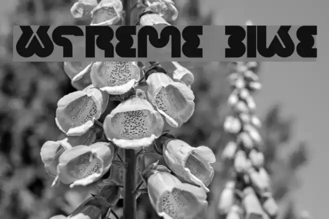 xtreme bike Font examples