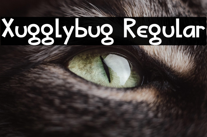 Xugglybug Regular Example 2