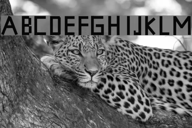 XuitsFont Font examples