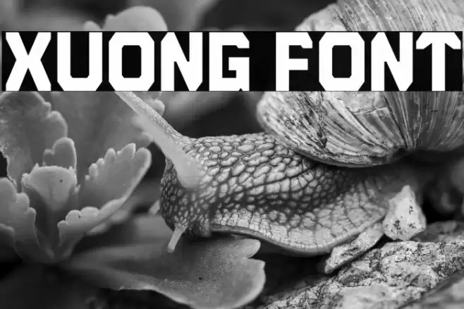 Xuong Font examples