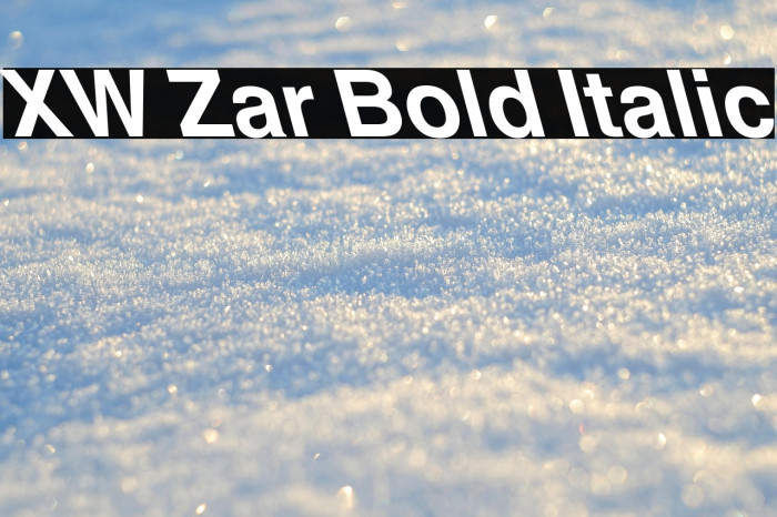 XW Zar Bold Italic Example 1