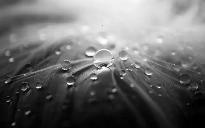 XW Zar Bold Font examples