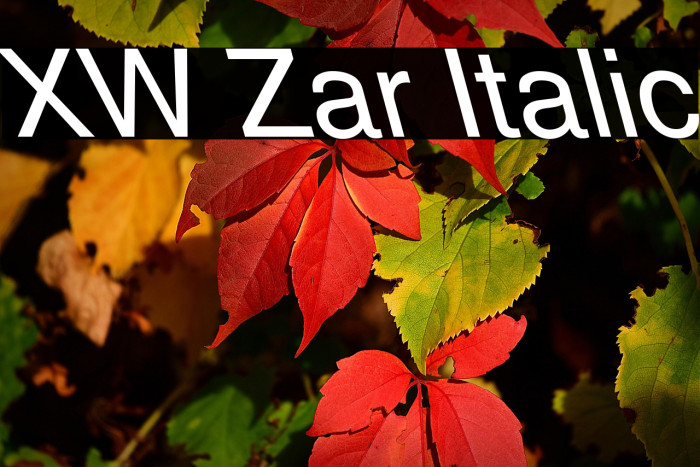 XW Zar Italic Example 1