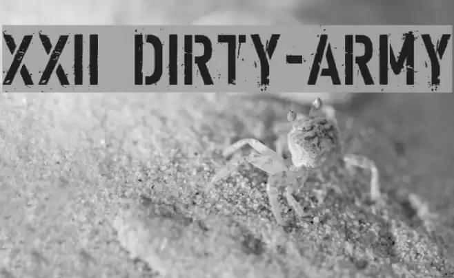 XXII DIRTY-ARMY Шрифта examples