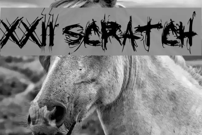 XXII SCRATCH Example 1