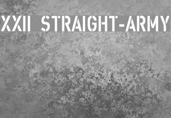 XXII STRAIGHT-ARMY Fuentes examples