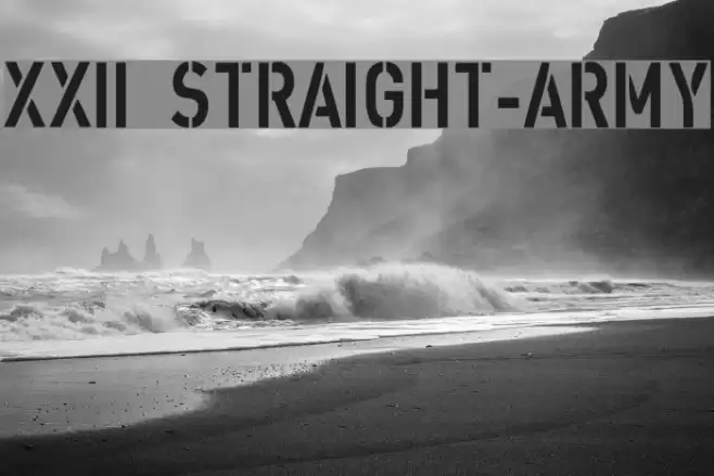 XXII STRAIGHT-ARMY Fuentes examples