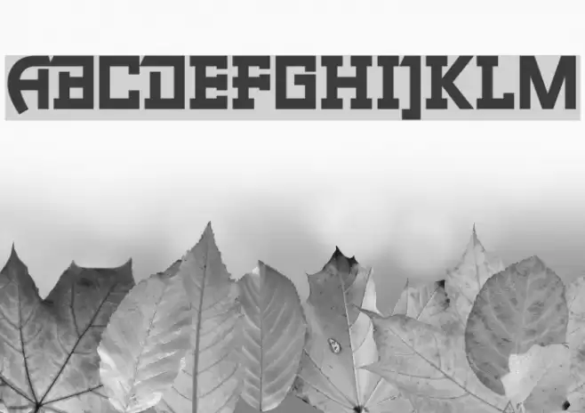 xxjjoosengx33xx 2 Bold Font examples