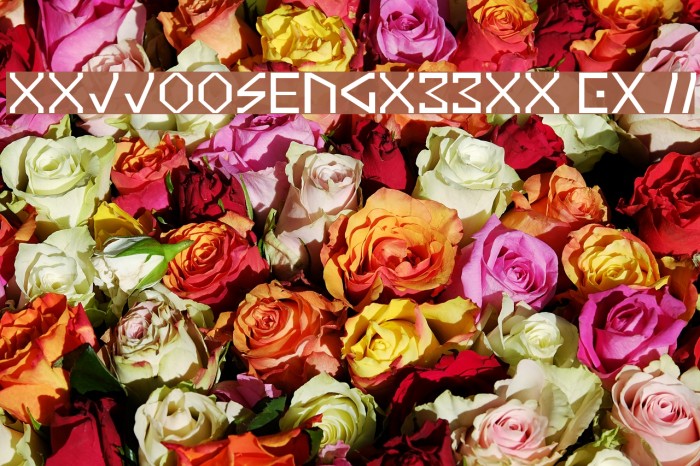 xxjjoosengx33xx EX II Example 2