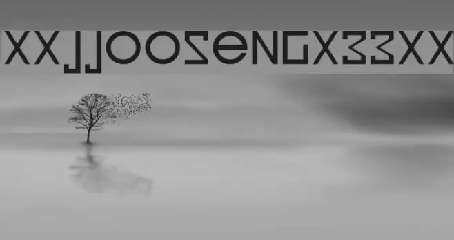 xxjjoosengx33xx Example 1
