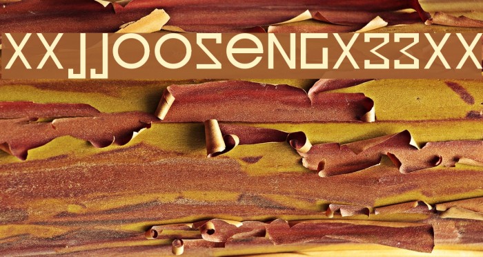 xxjjoosengx33xx Font examples