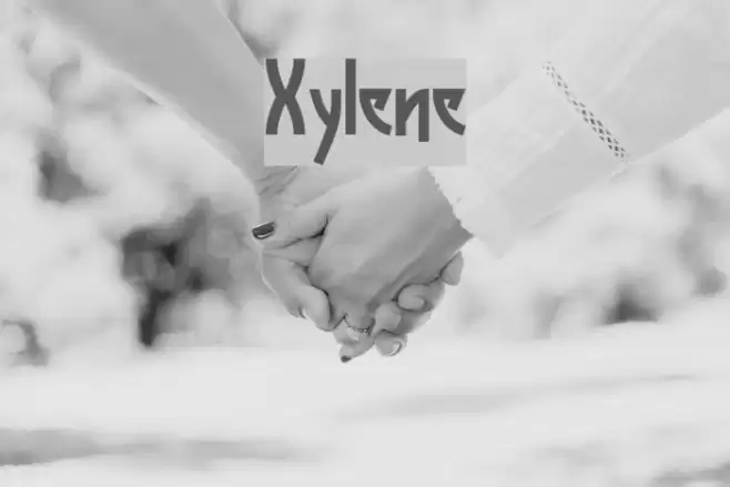 Xylene Font examples