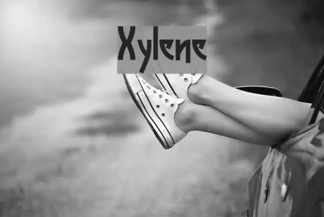Xylene Font examples