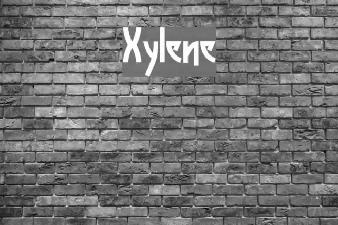 Xylene Font examples