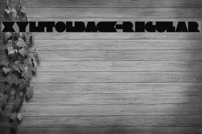 XylitolBack-Regular Font examples