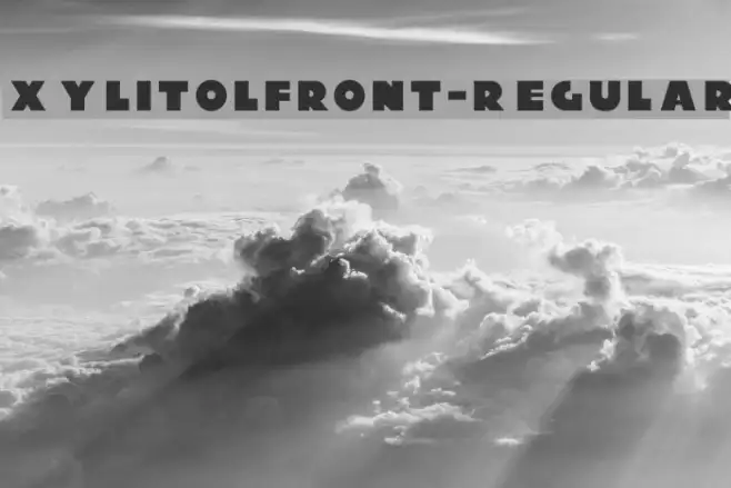 XylitolFront-Regular Example 2