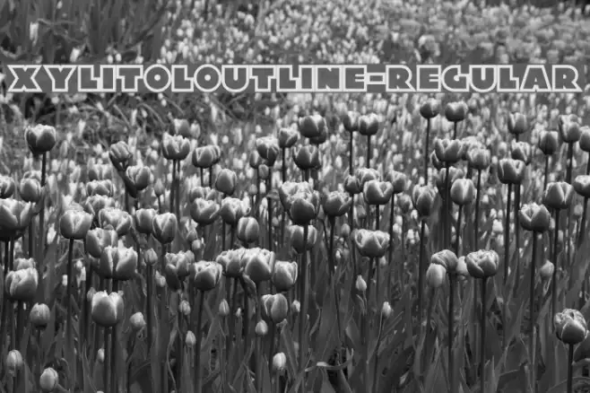 XylitolOutline-Regular Example 1