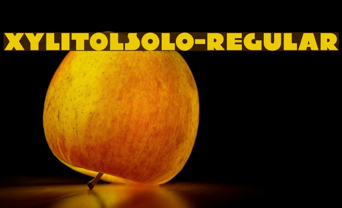 XylitolSolo-Regular Font examples