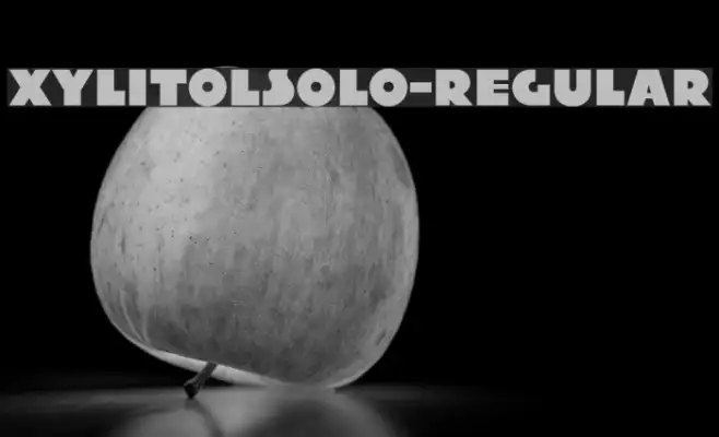 XylitolSolo-Regular Example 1