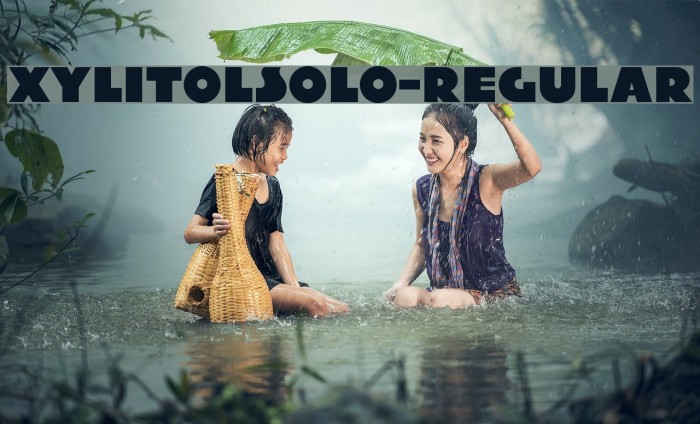 XylitolSolo-Regular Font examples
