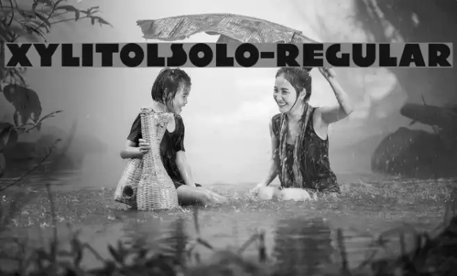 XylitolSolo-Regular Example 3