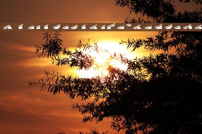 XylitolStripe-Regular Example 1