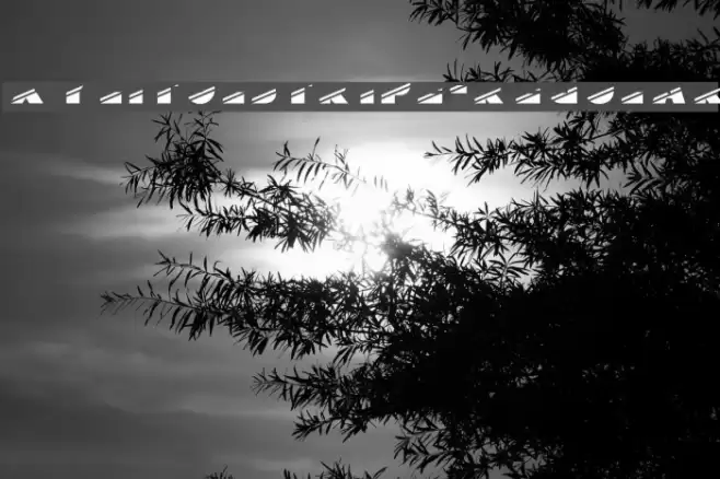 XylitolStripe-Regular Font examples