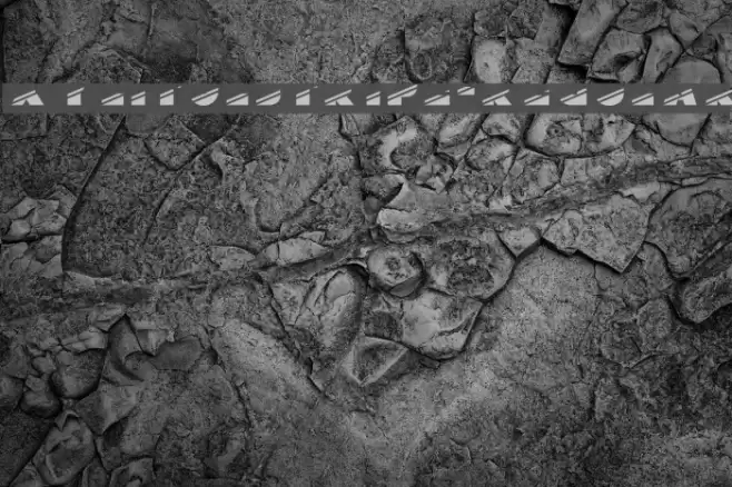 XylitolStripe-Regular Font examples